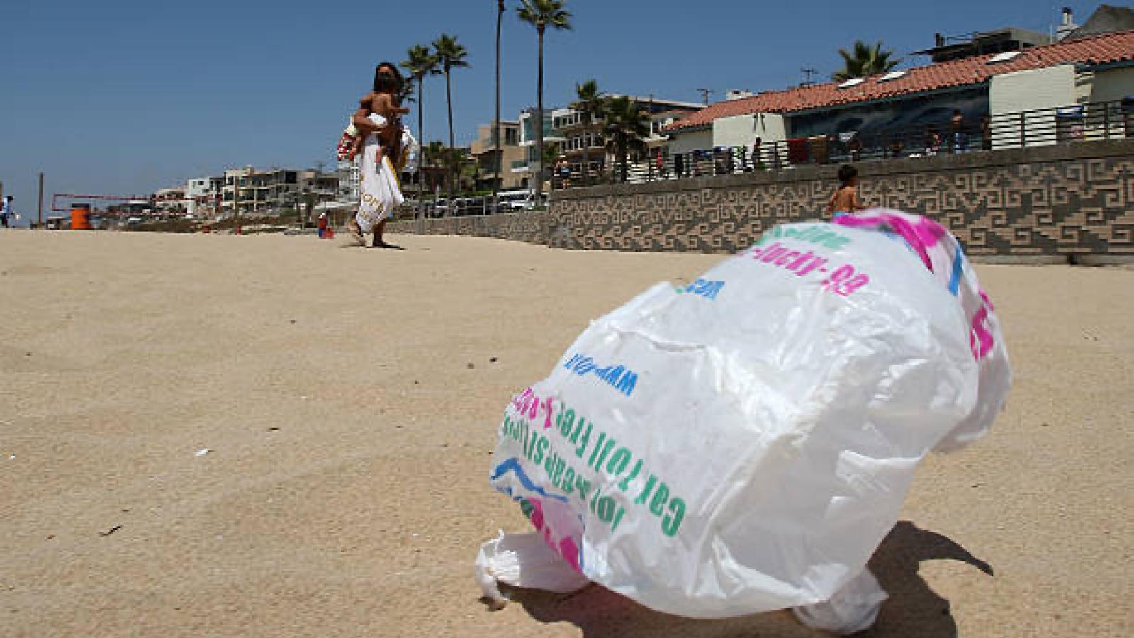 Plastic bag