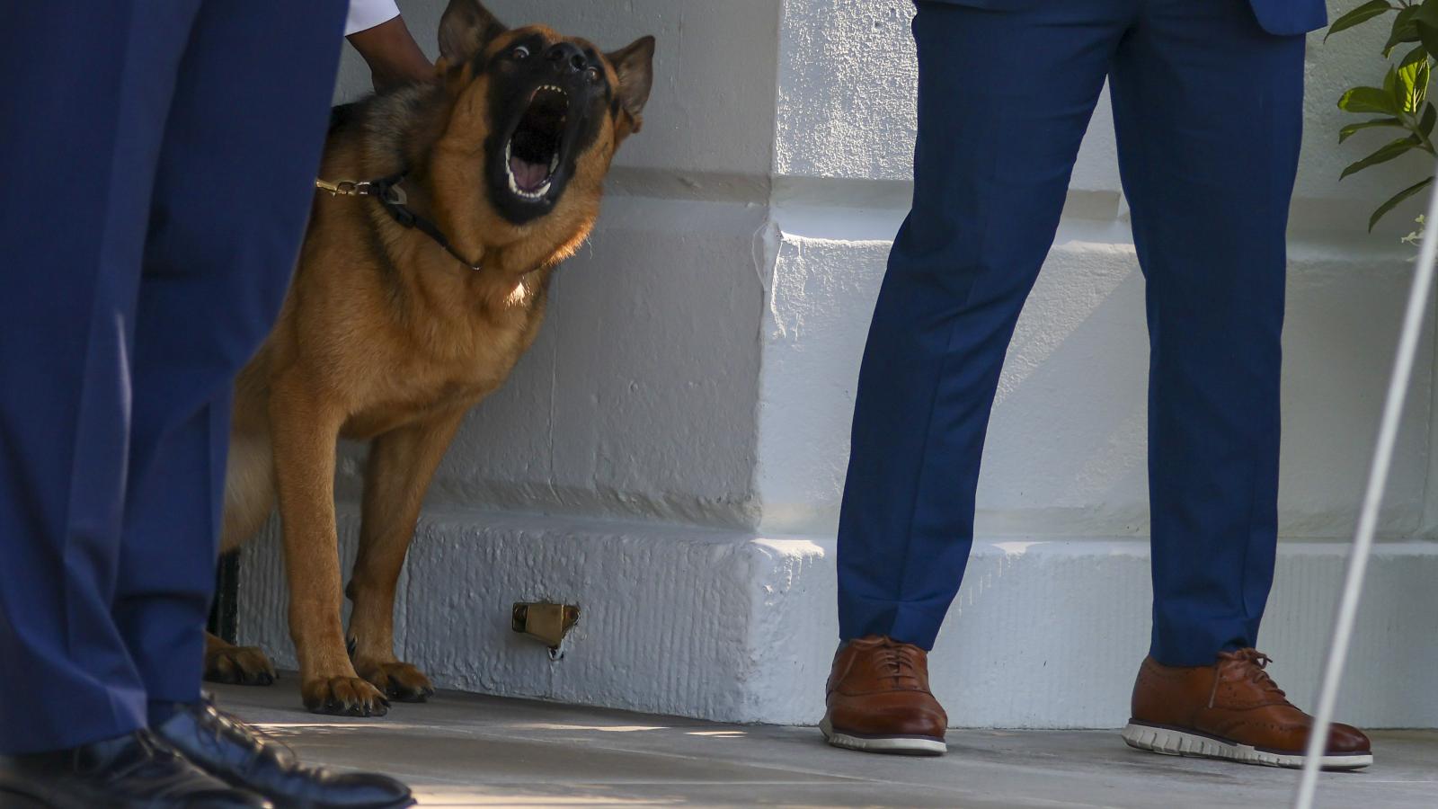 Commander, June 25, 2022, Washington, DC