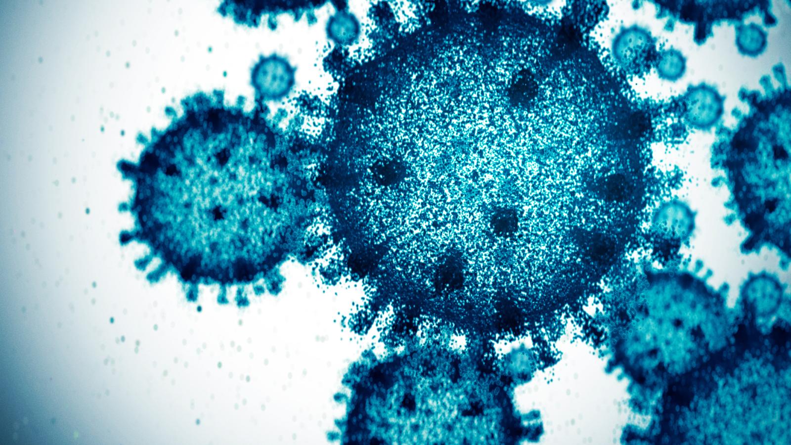 Virus