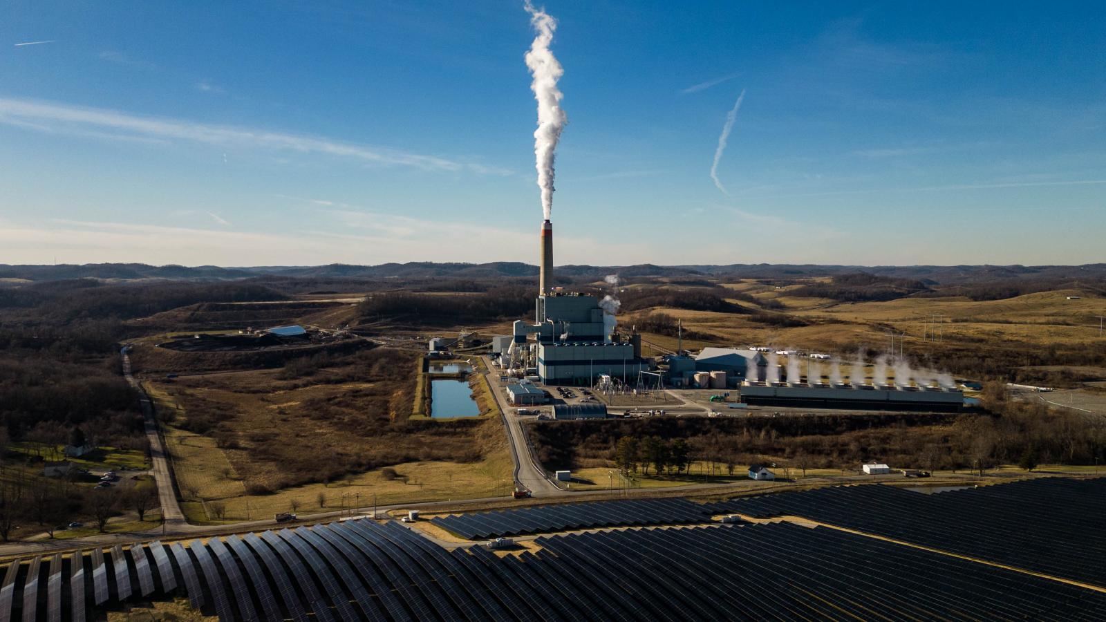 Coal