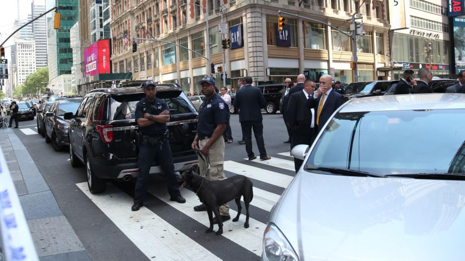 Pedestrian traffic deaths