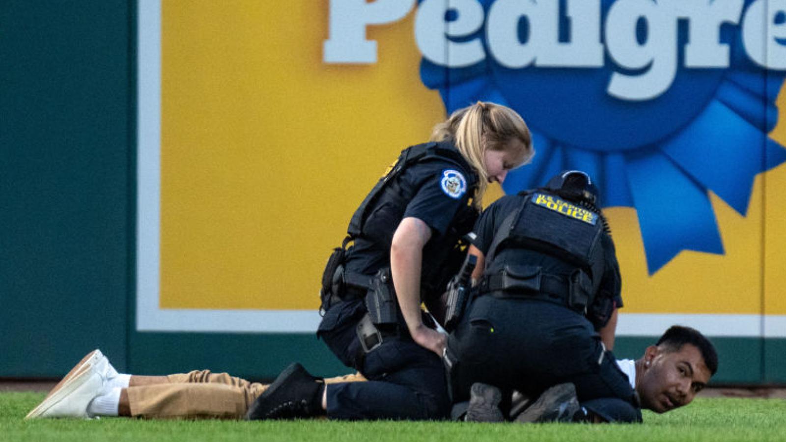 Protester arrested at Congressional Baseball Game