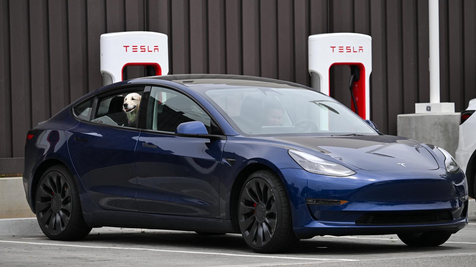 electric vehicle