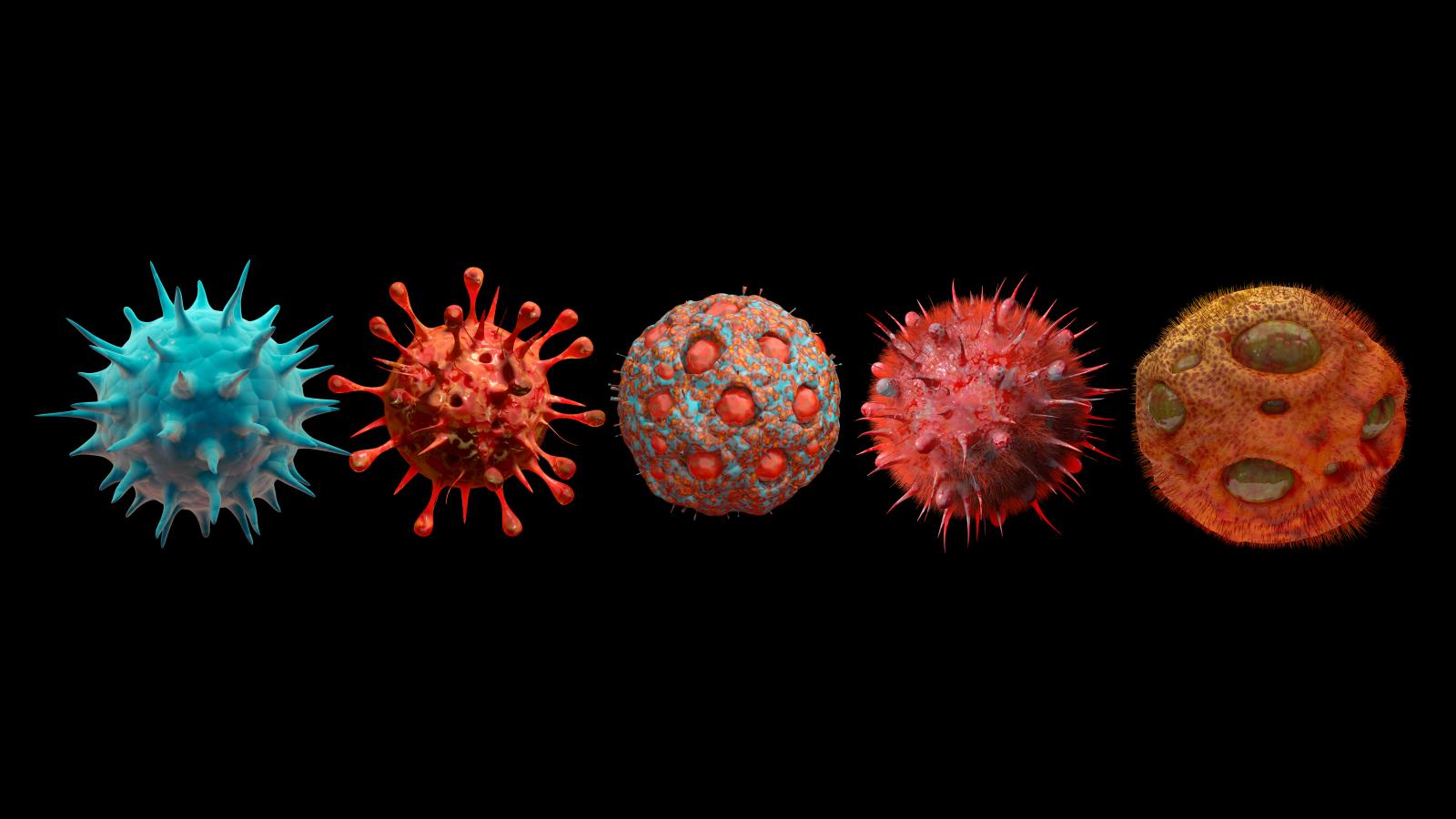 Virus mutation