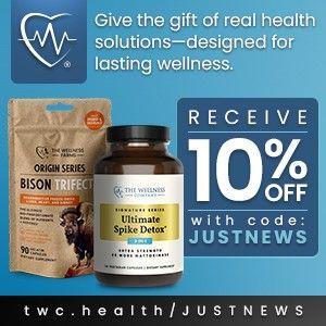 The Wellness Compnay