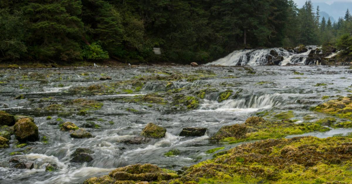 Tragedy Strikes: Eight Lives Lost in Remote Alaska Plane Crash, Military Reports