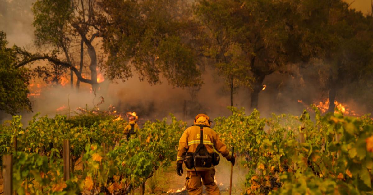Napa Valley winery destroyed as wildfire spreads through wine country