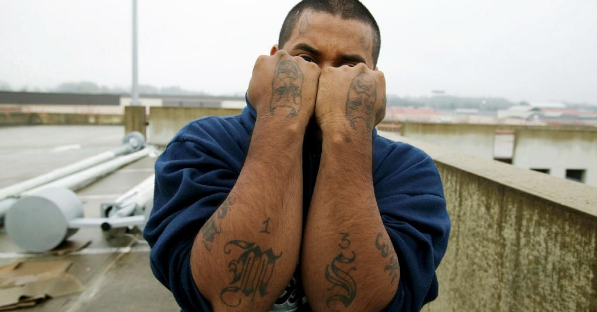 Doj Says Most Ms 13 Gang Members Who Have Been Prosecuted Are In Us Illegally Just The News 