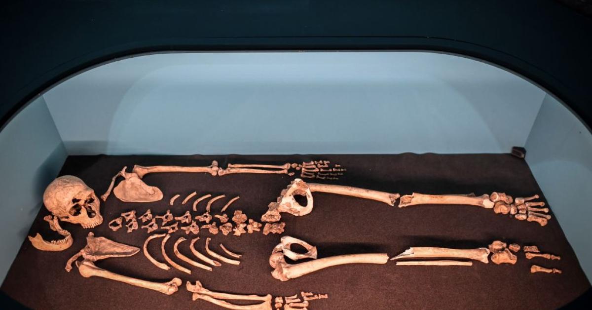 Discovery of 200,000-year-old bones could shed light on recent human ...
