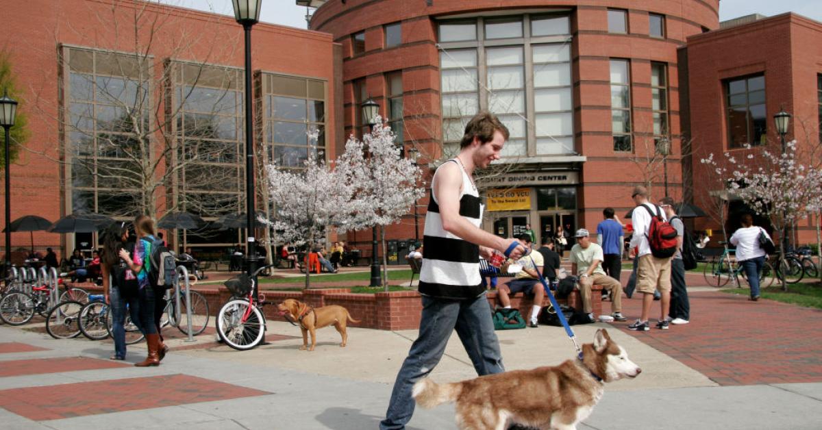 University hospital system nurse fired after posting videos instructing 'sabotage' of ICE agents