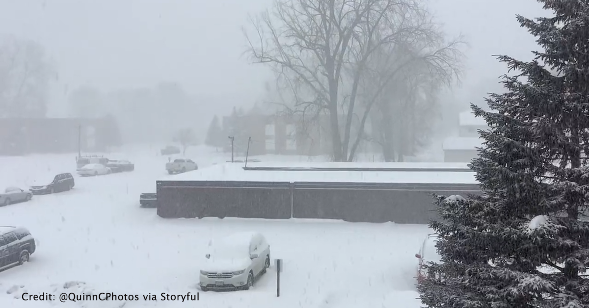 Minneapolis and Saint Paul, Minnesota, declare a snow emergency Just The News
