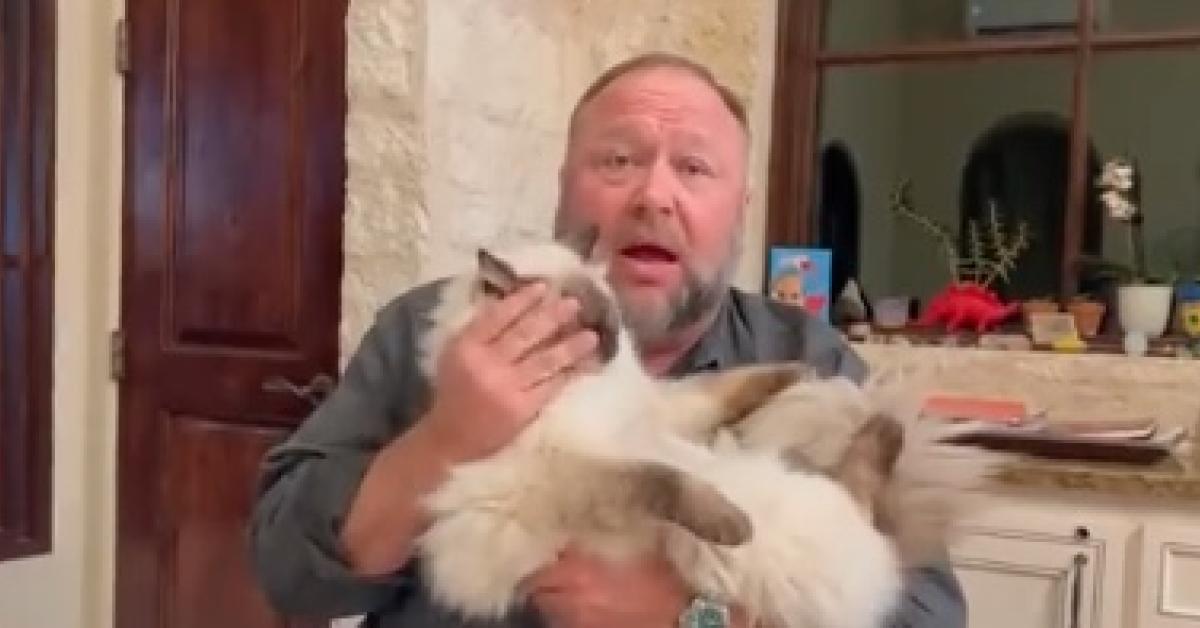 Animal rescuers are desperate to save Cyprus' cats | Just The News
