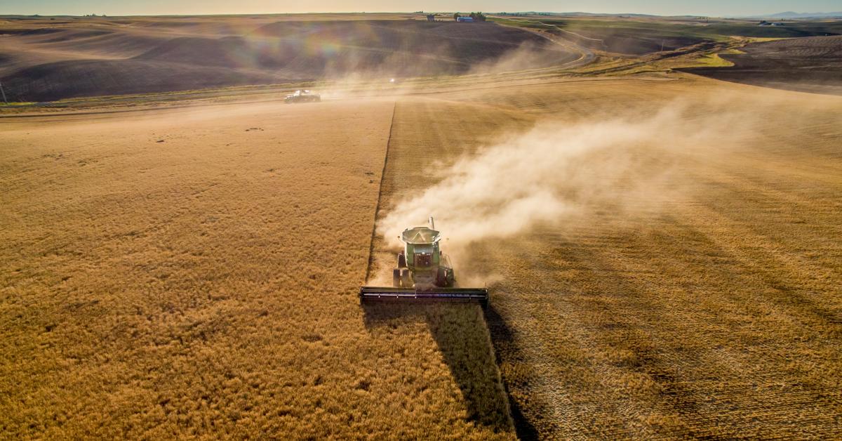 Lawmakers push to ban China from buying U.S. farmland - Vimarsana News