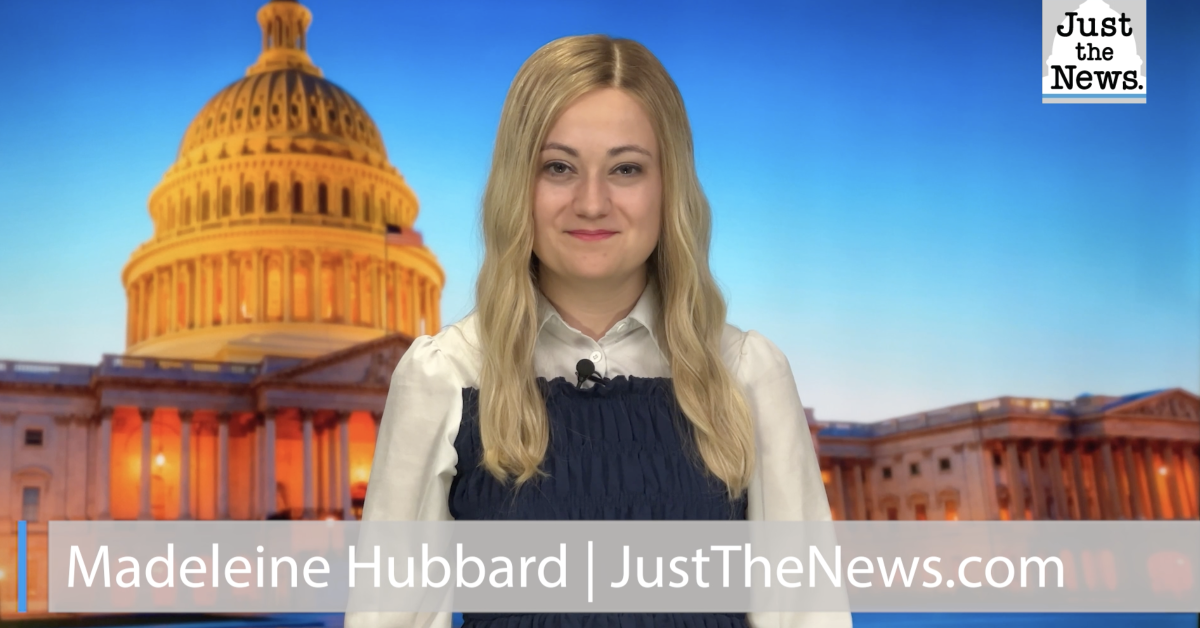 Watch:   Felons vote illegally, ballots cast for dead, Florida whistleblower claims - Just the News ...