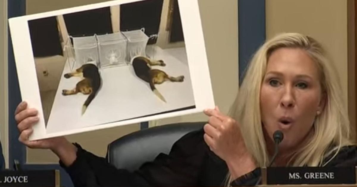 Senate unanimously approves bill to 'replace outdated animal testing,' still awaiting House