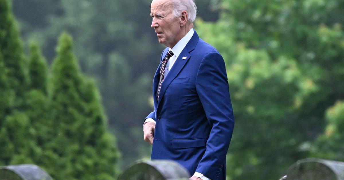 Exclusive: Expert Reveals Democrats’ Critical Oversight in 2024 Election Autopsy