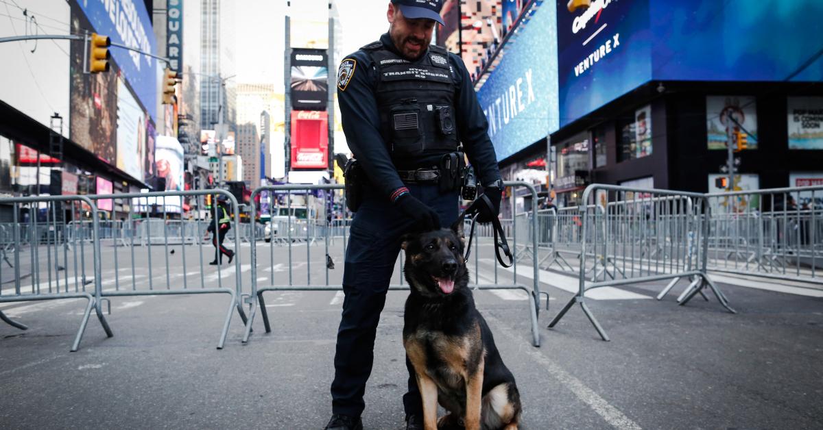 Law enforcement ramps up security at NYE celebrations nationwide, warns Americans to be vigilant