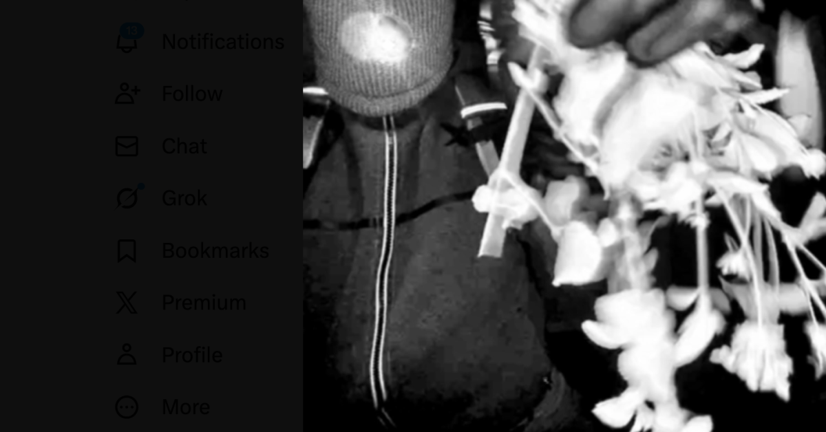 FBI offers description of suspect in Nancy Guthrie's disappearance