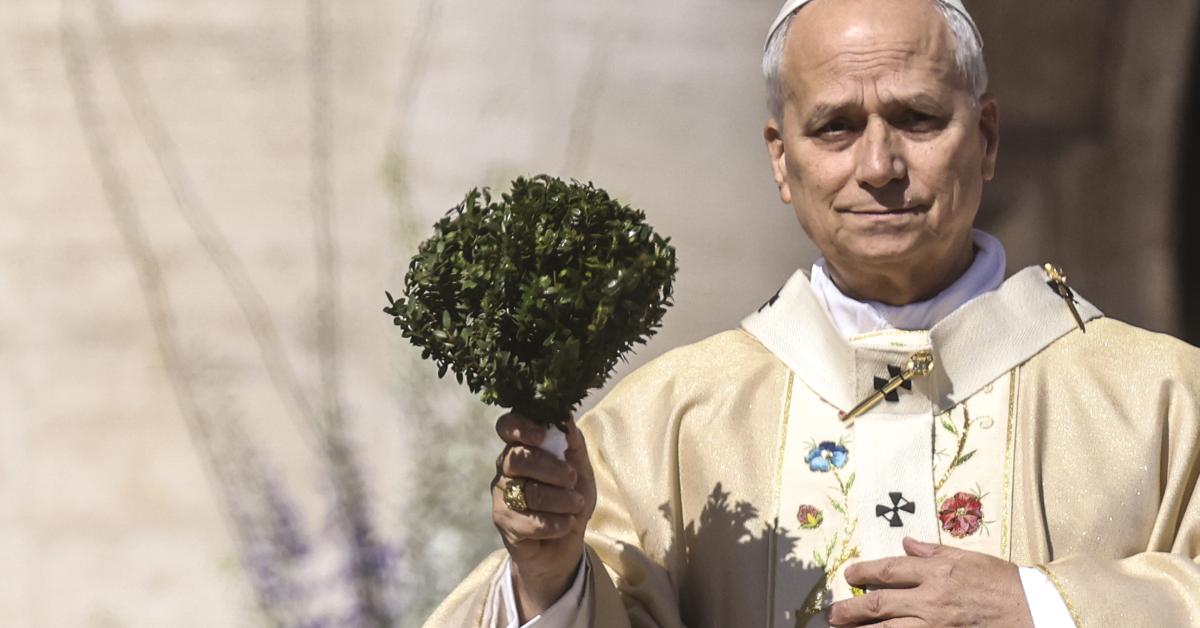Pope Leo XIV names former illegal immigrant as new bishop