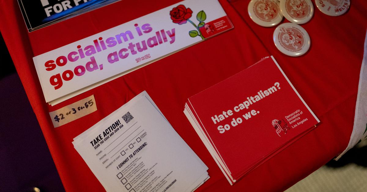 Establishment Democrats warn socialist candidates could cost the party the midterms