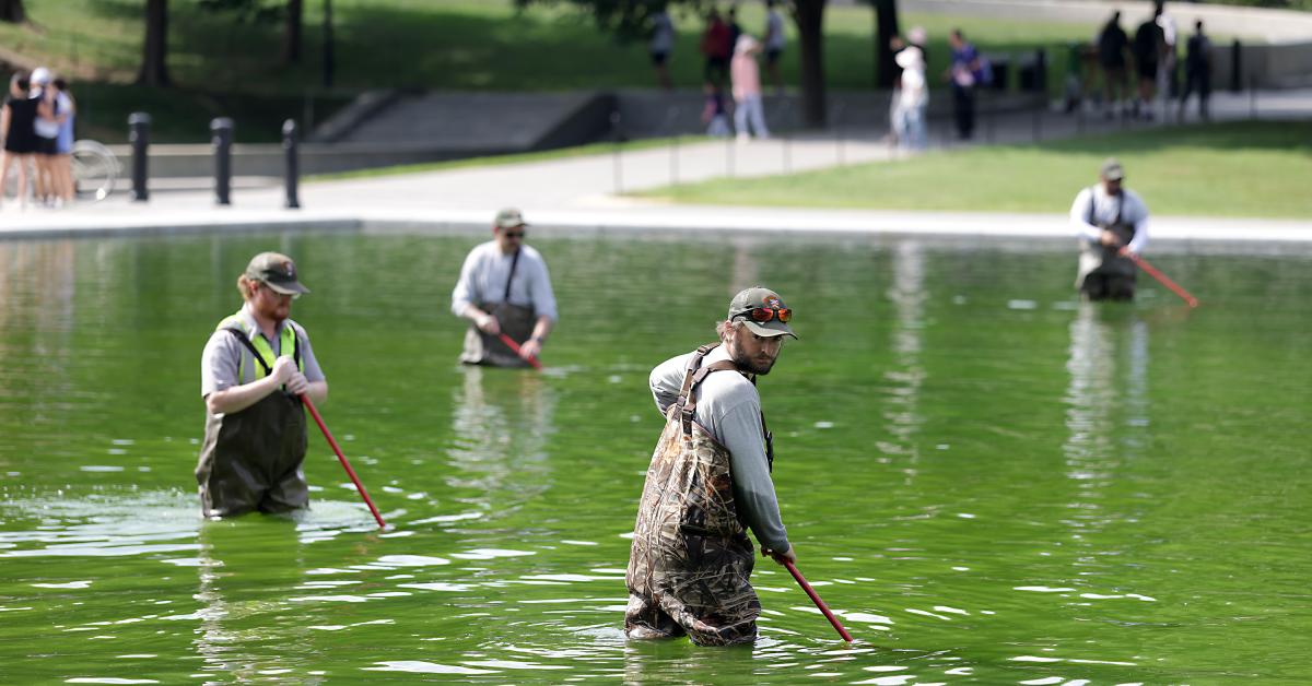 'Fully enforced': Trump warns of consequences for Reflecting Pool vandals