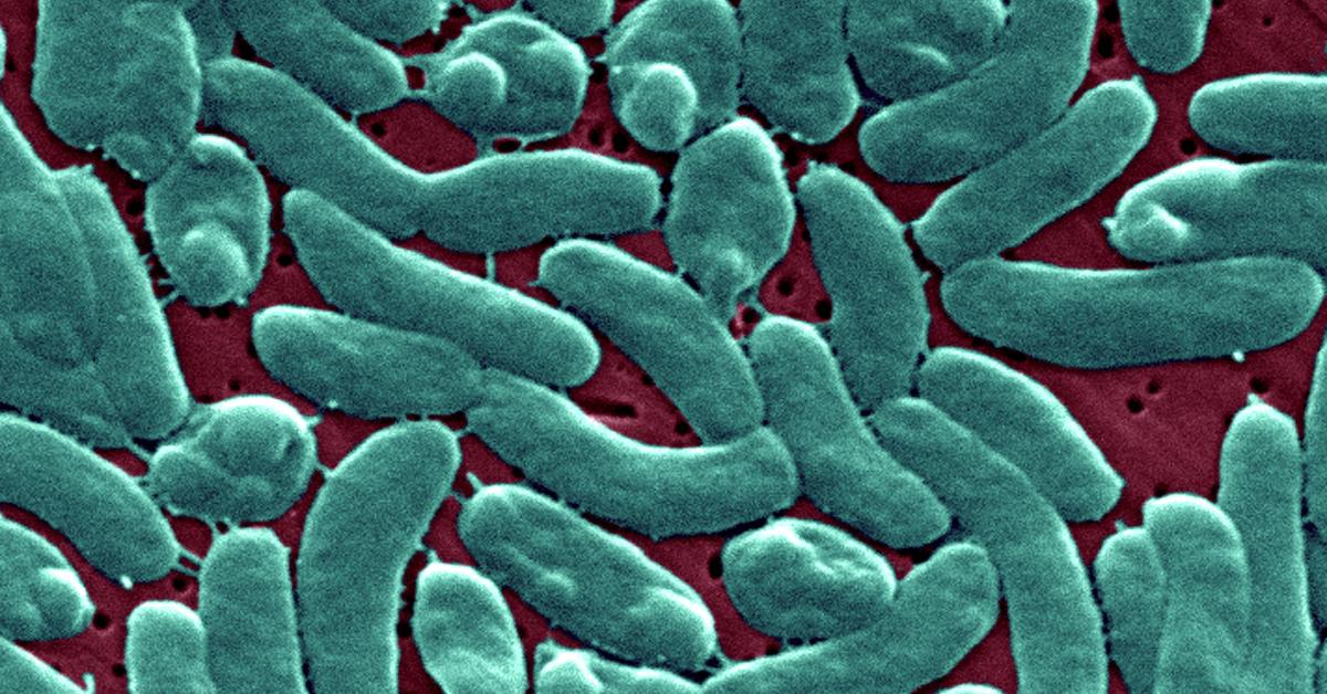 “Tragedy strikes as five lives lost to deadly bacteria outbreak in Louisiana – stay informed for your safety”