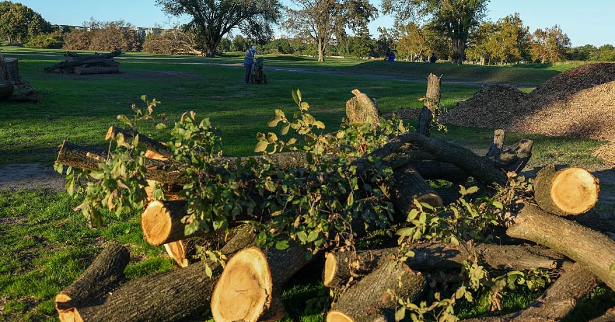 Trump posts photos of 'trash island' D.C. golf course after court hearing