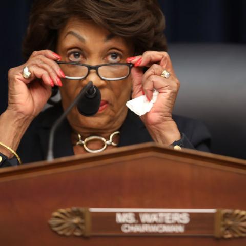 Congresswoman Maxine Waters (D-CA)