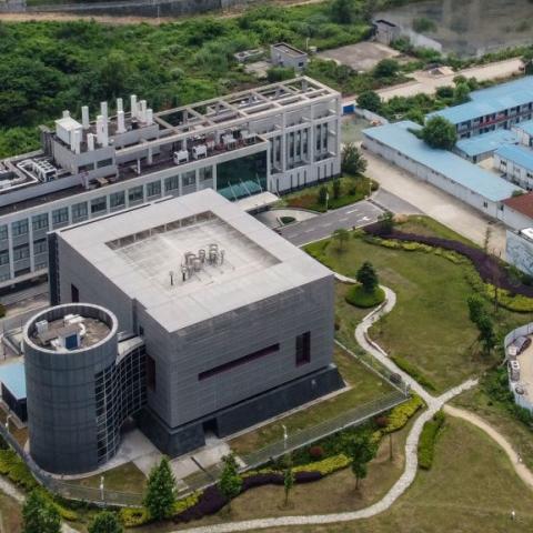 The Wuhan Institute of Virology