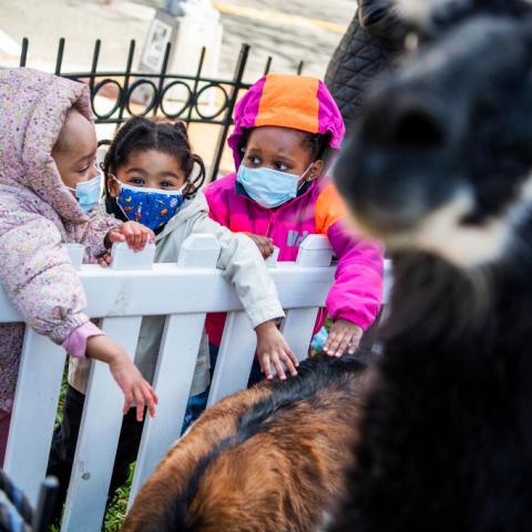 Children wearing face masks