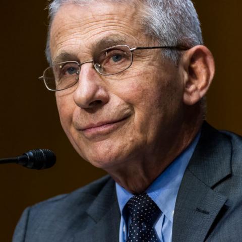 Anthony Fauci, May 11