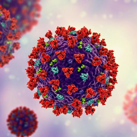 Virologist: Exposure to virus, 'natural' immunity on top of vaccinations will help end the pandemic