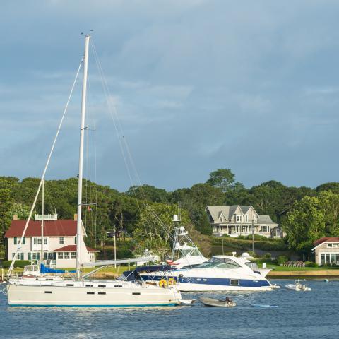 Several dozen people on Martha's Vineyard have tested positive for COVID since Obama birthday bash
