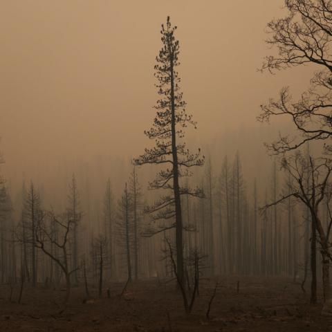 Wildfires continue to consume vast acreage across N. California; 94 fires currently ablaze in U.S.