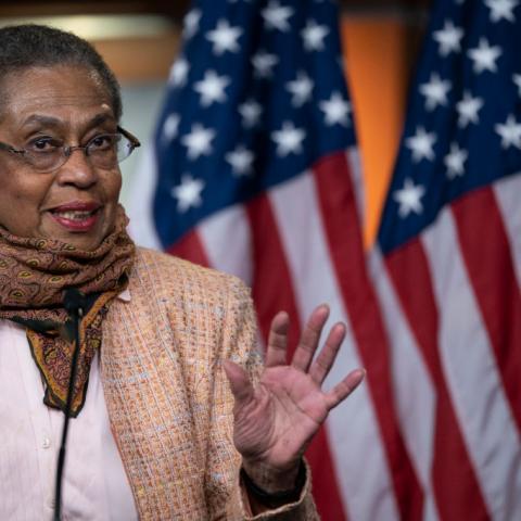 Delegate Holmes Norton says no one accused her of sending zebras to run wild through Maryland