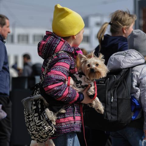 Child with dog, Lviv train station, Ukraine, March 26, 2022