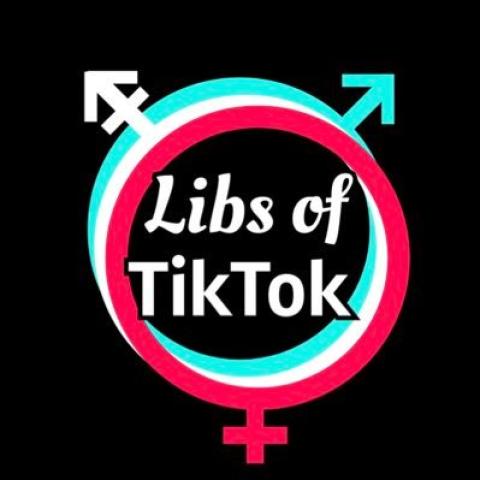 The Libs of TikTok logo