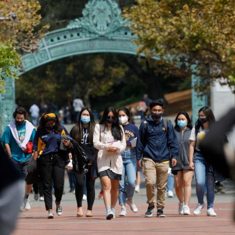 Education Dept to open civil rights probe into UC Berkeley allegedly banning white people from farm