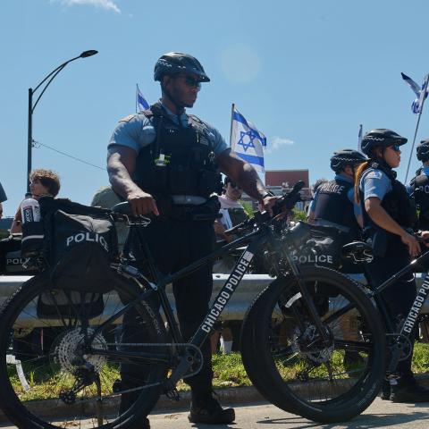 Over 70 arrested in Chicago after pro-Palestinian protesters clash with police