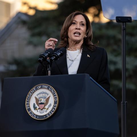Harris points to Congress on immigration crisis, saying it needs to act to 'fix the problem'