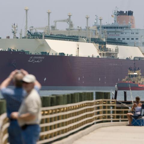 Regulator: LNG expansion likely to affect rare marsh bird