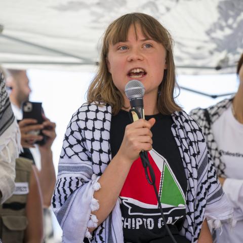 Greta Thunberg throws support behind French high school student protests