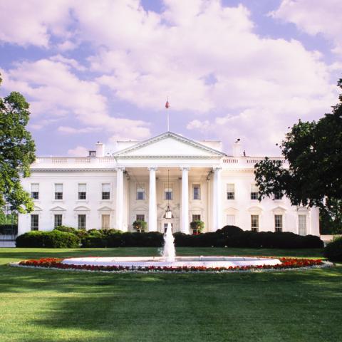 Trump orders McDonald's via DoorDash to White House