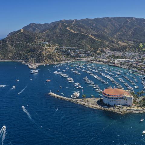 Medical helicopter transporting patient crashes near Los Angeles, killing two