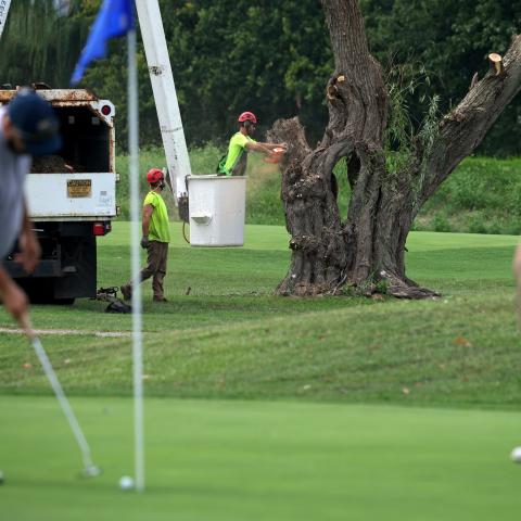 Federal judge orders Trump administration to halt work for one day on DC public golf course